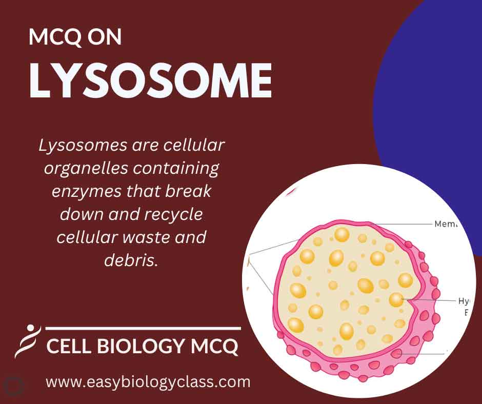 MCQ on Lysosomes