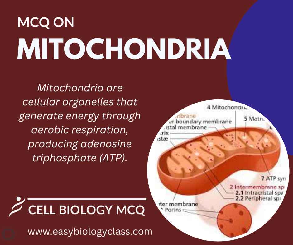 MCQ on Mitochondria