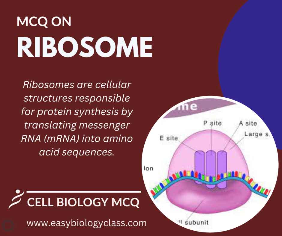 MCQ on Ribosomes