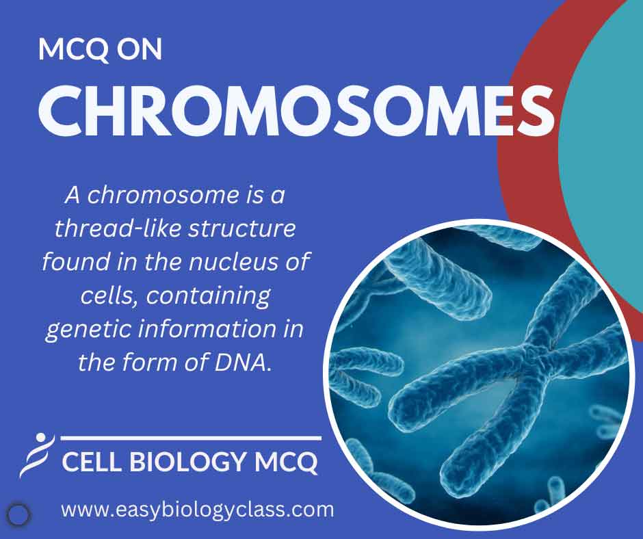 mcq on chromosomes