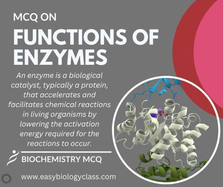 mcq on functions of enzymes