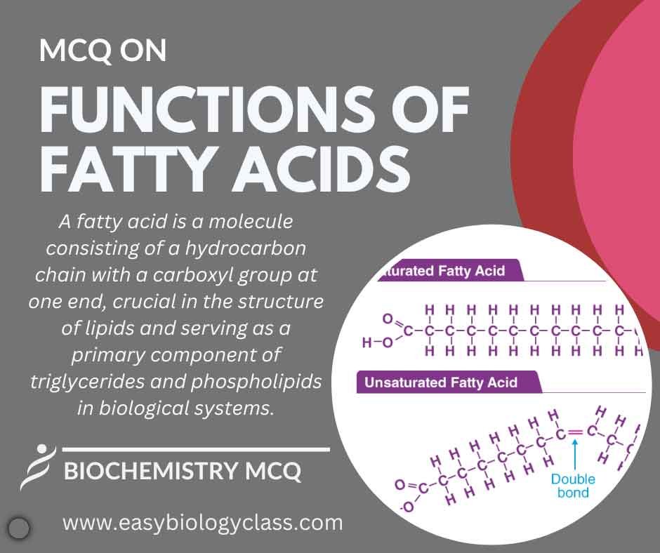 MCQ on Functions of Fatty Acids EasyBiologyClass