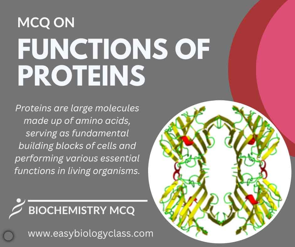 MCQ on Protein Function EasyBiologyClass