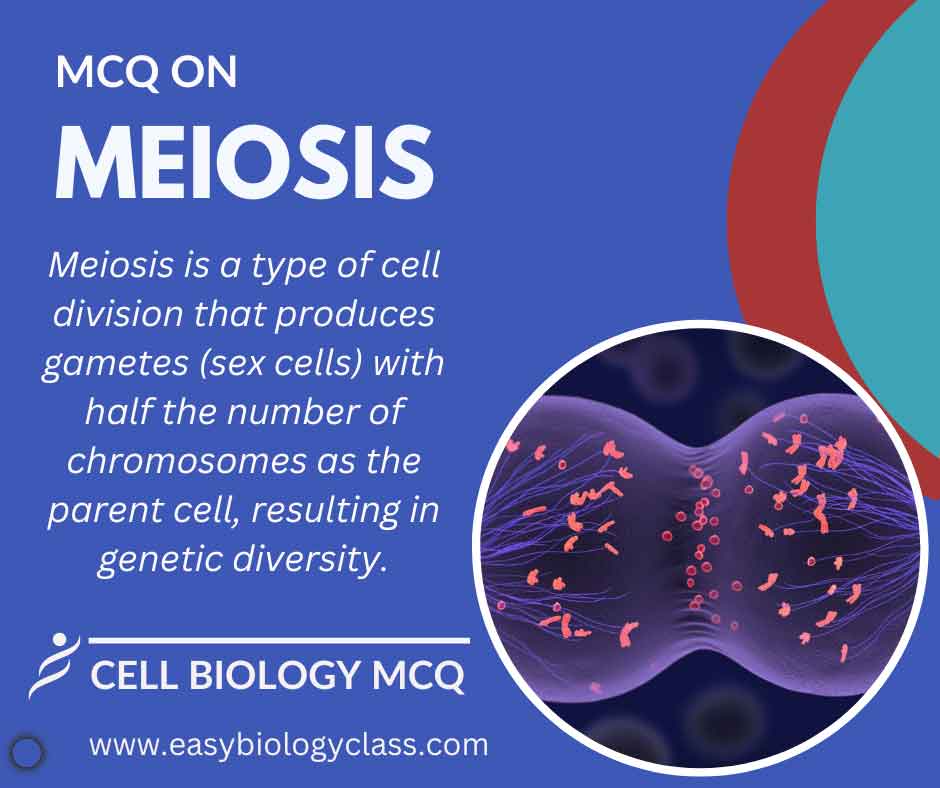 mcq on meiosis