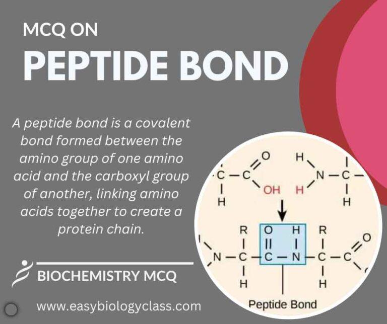 mcq on peptide bond