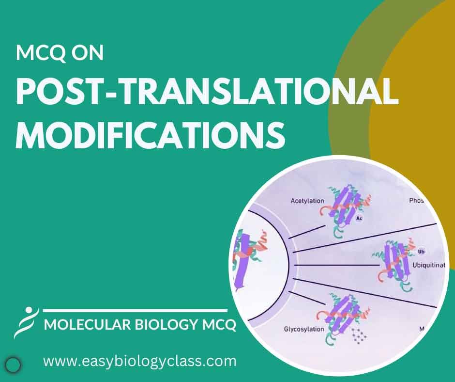 MCQ on Post Translational Modification