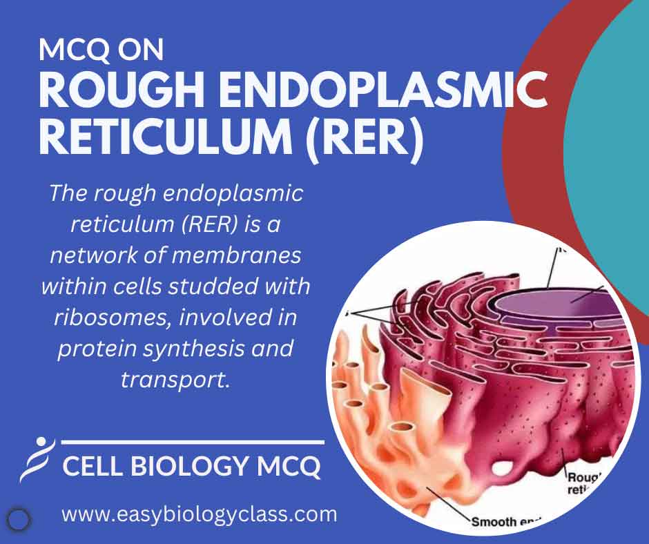 mcq on rough endoplasmic reticulum