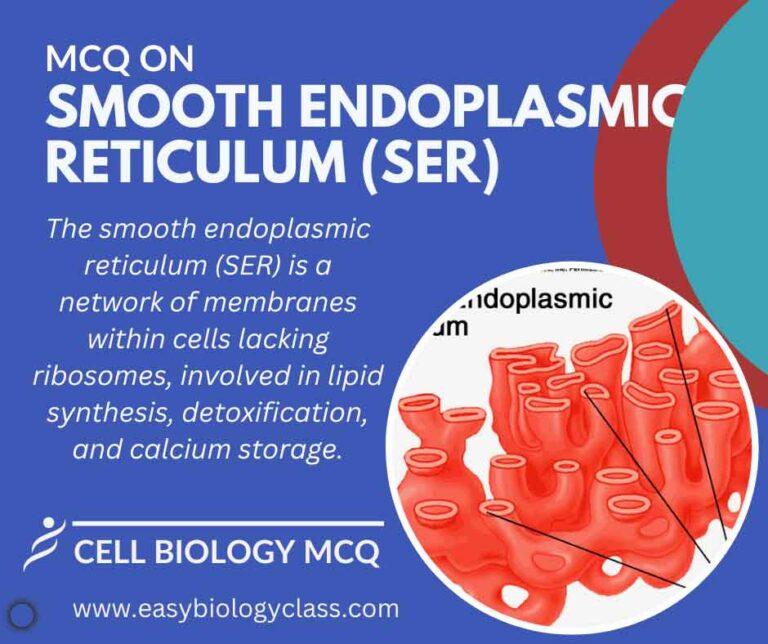 mcq on smooth endoplasmic reticulum