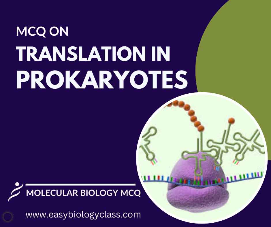 mcq on translation in prokaryotes